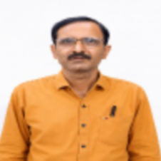 Shri Rajeev Tripathi